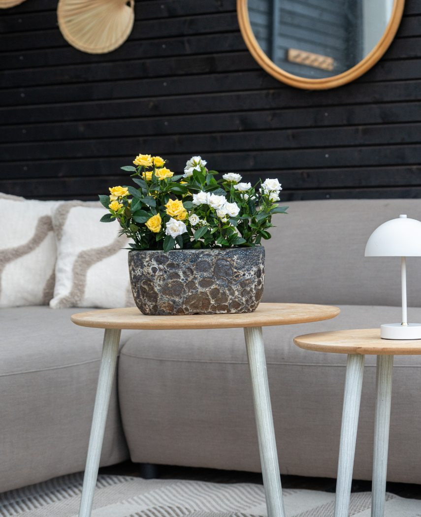 Rosier artificiel mini 35 cm jaune UV