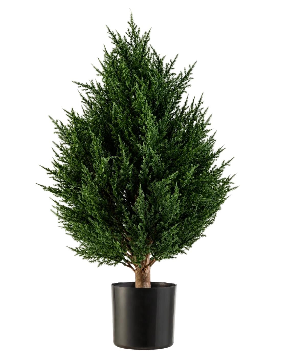 Plante Cyprès artificiel deluxe 60 cm UV