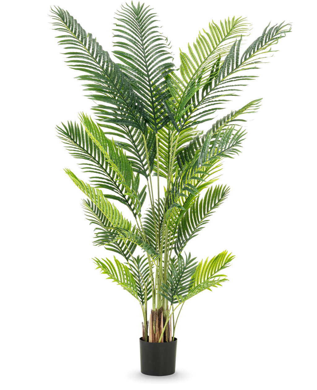 Plante artificielle Phoenix 200 cm