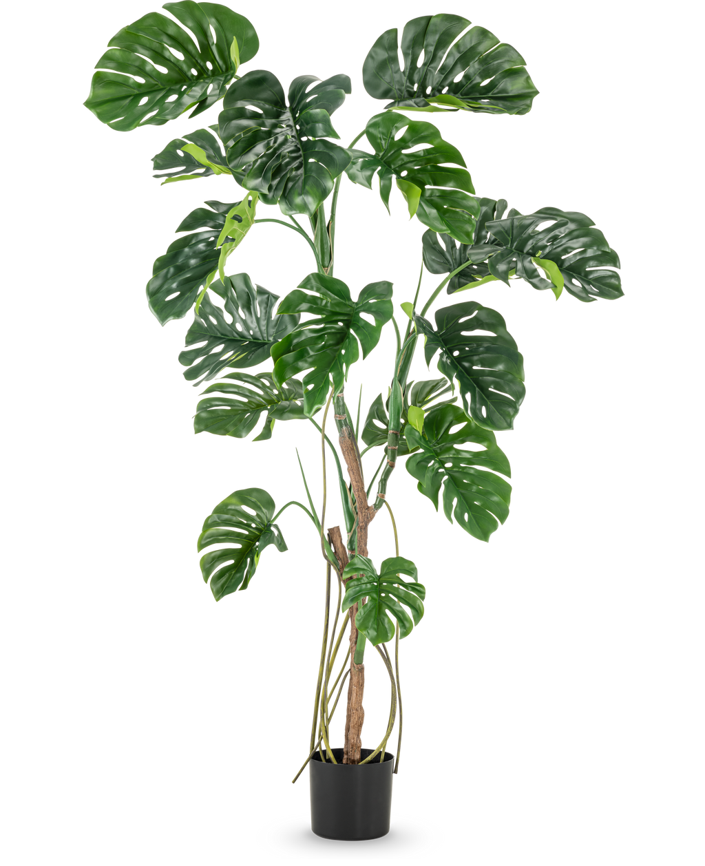 Plante artificielle Monstera 180 cm