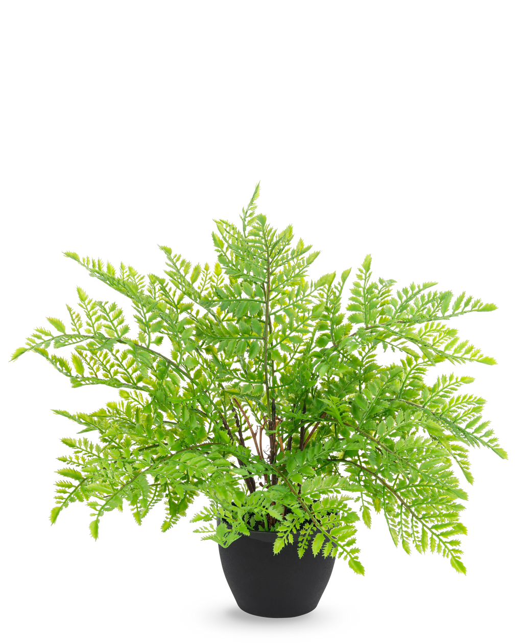 Fougère artificielle 35 cm dans un pot d'ornement noir