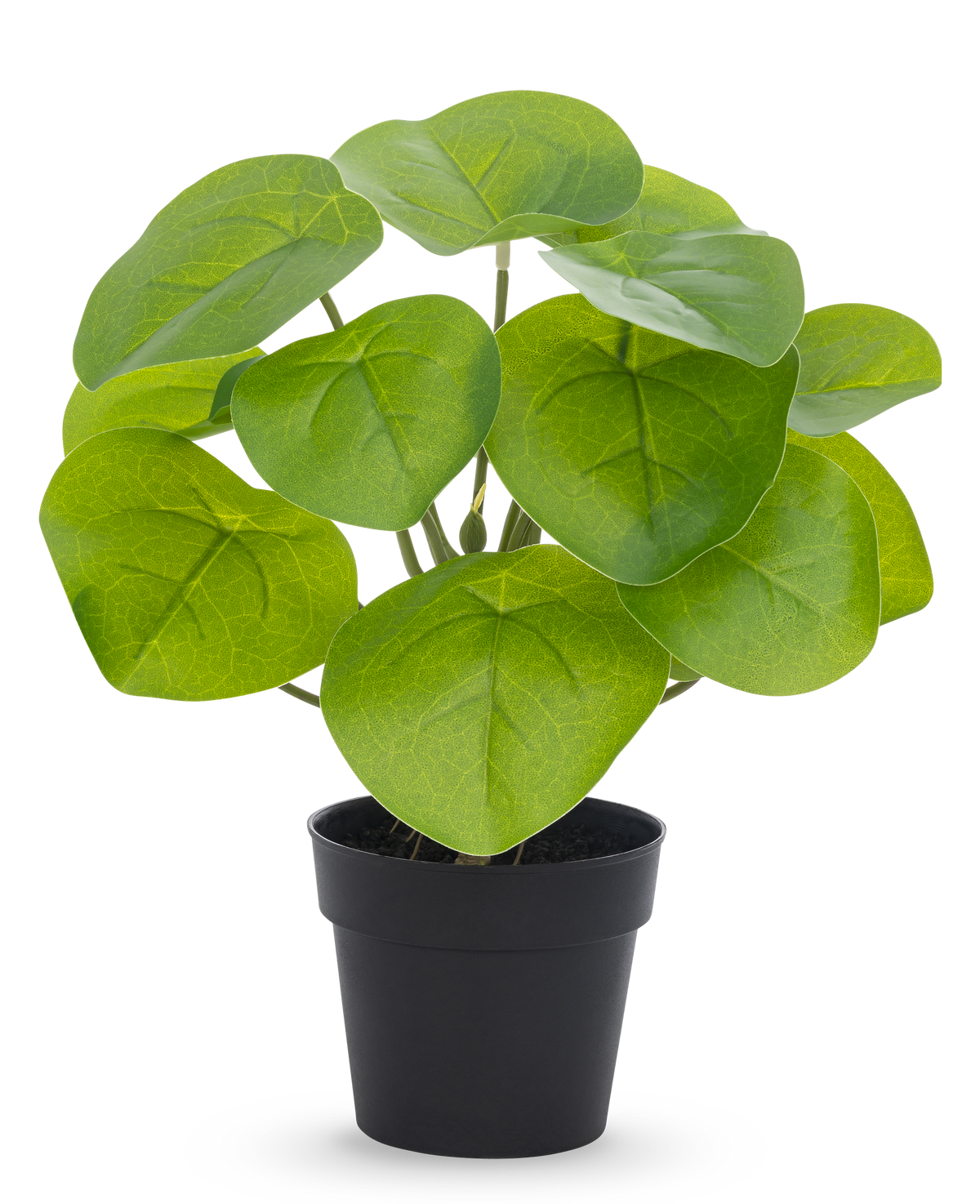 Plante artificielle en forme de crêpe 27 cm