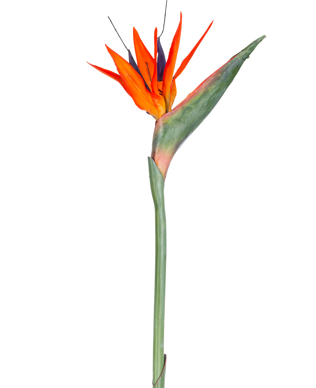 Fleur artificielle Strelitzia 86 cm rouge/mauve