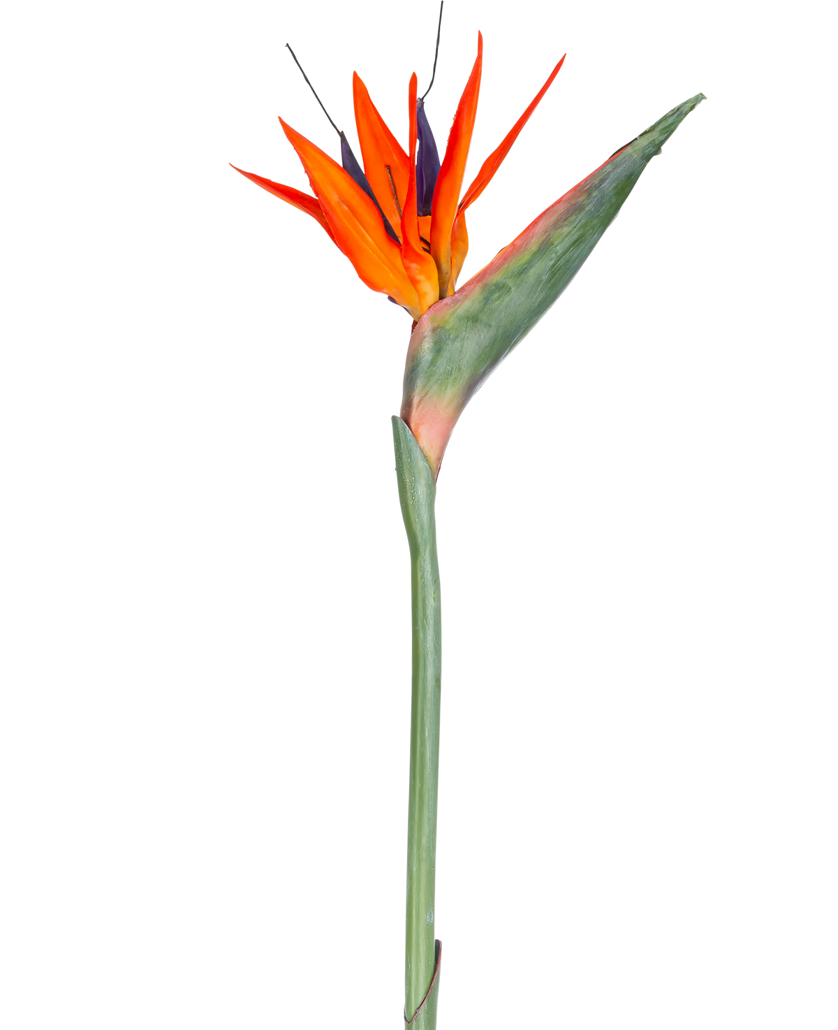 Fleur artificielle Strelitzia 86 cm rouge/mauve