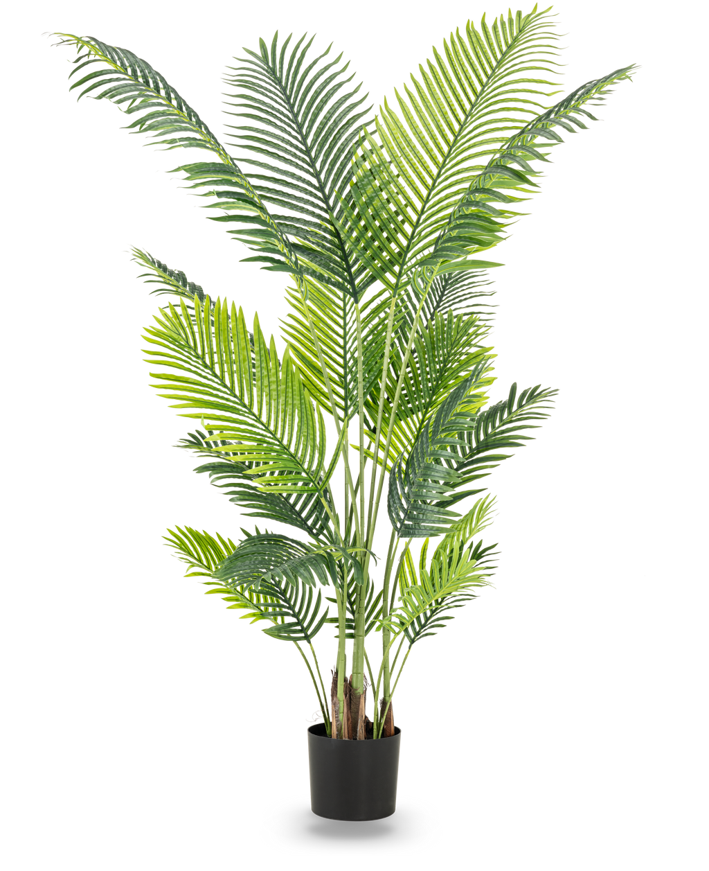 Plante artificielle Phoenix 180 cm
