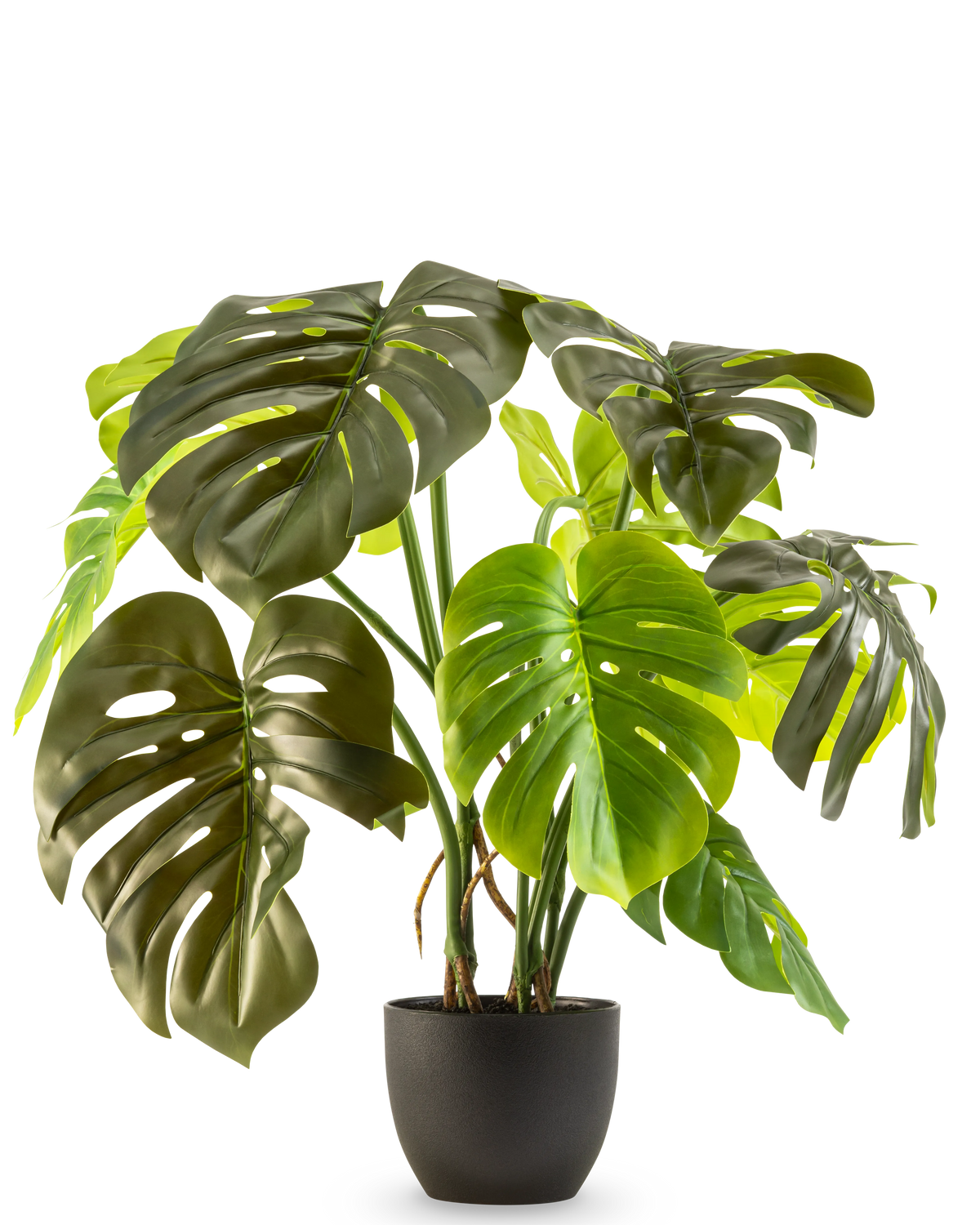 Monstera artificiel 50 cm