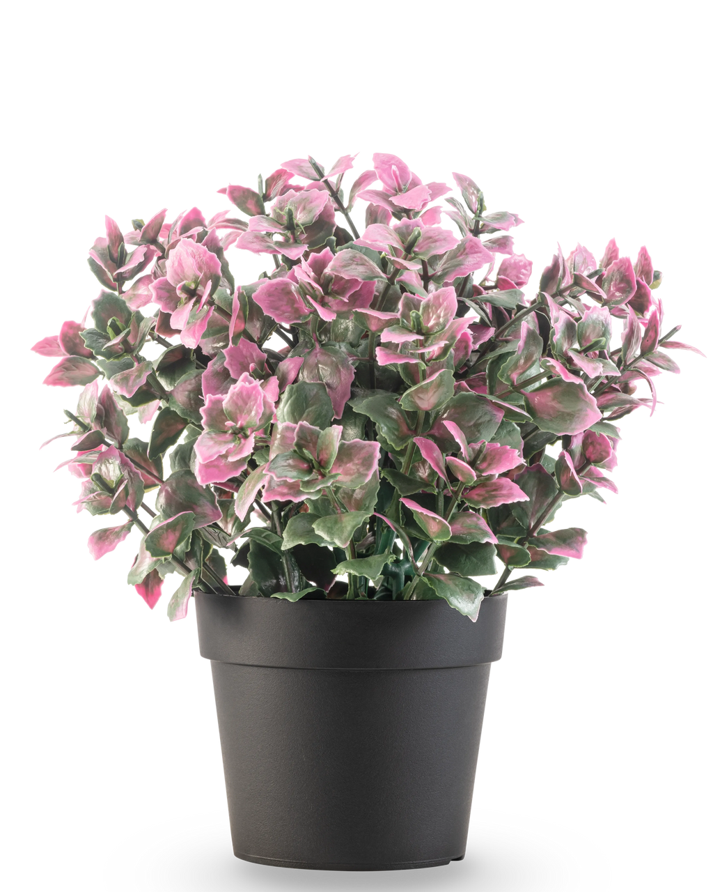 Plante artificielle Eucalyptus violet en pot 22 cm UV