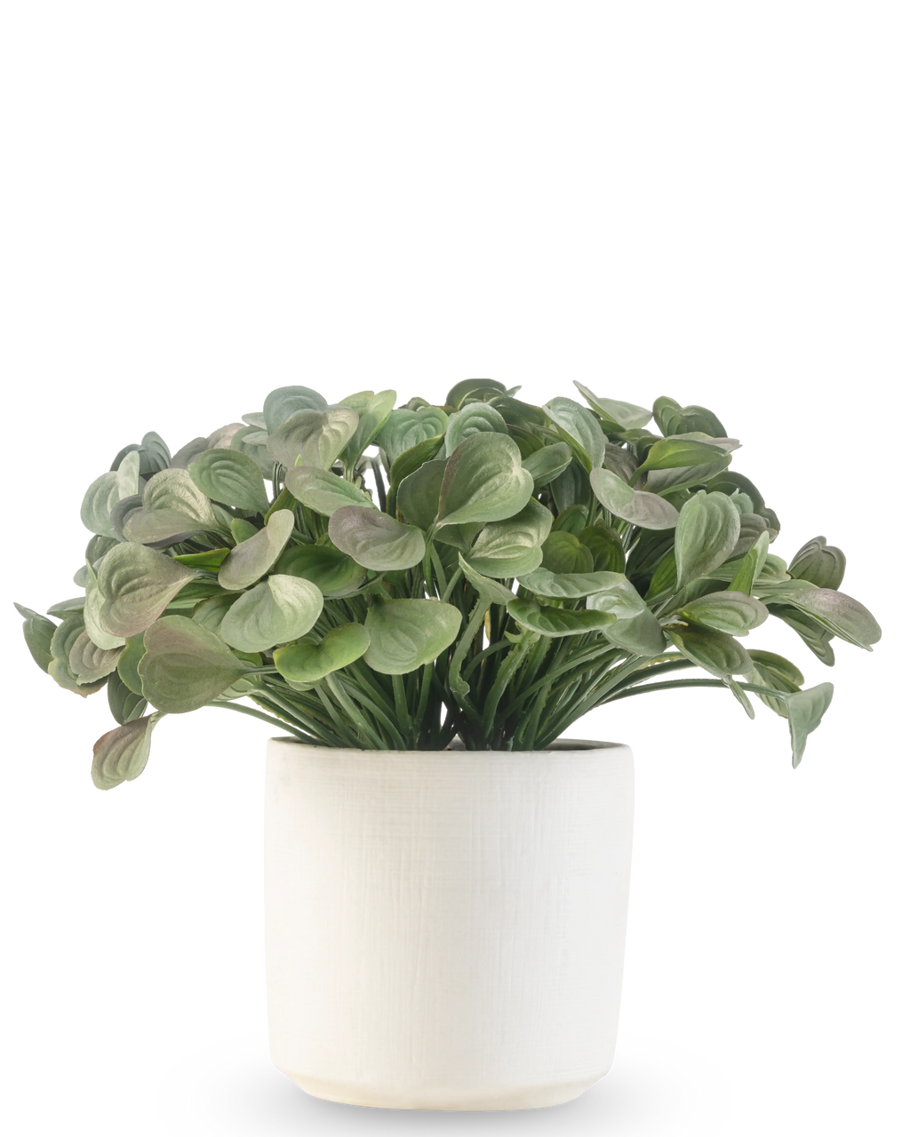 Succulente artificielle 22 cm dans un pot ornemental