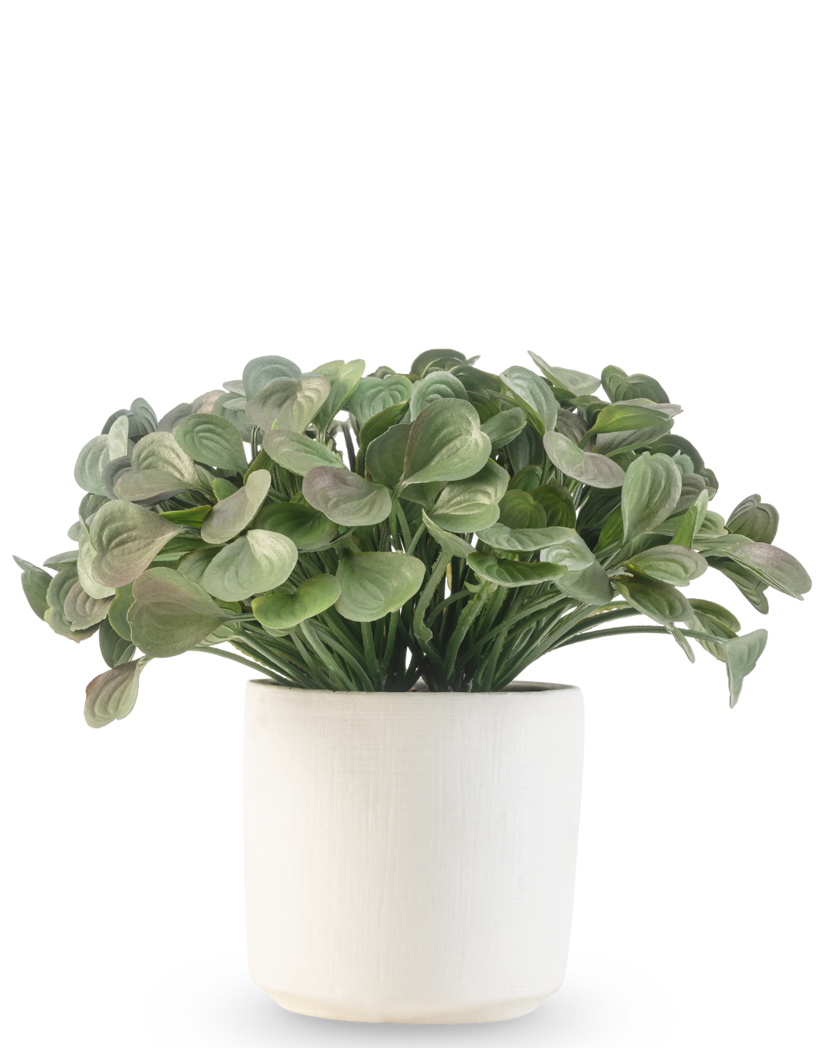 Succulente artificielle 22 cm dans un pot ornemental