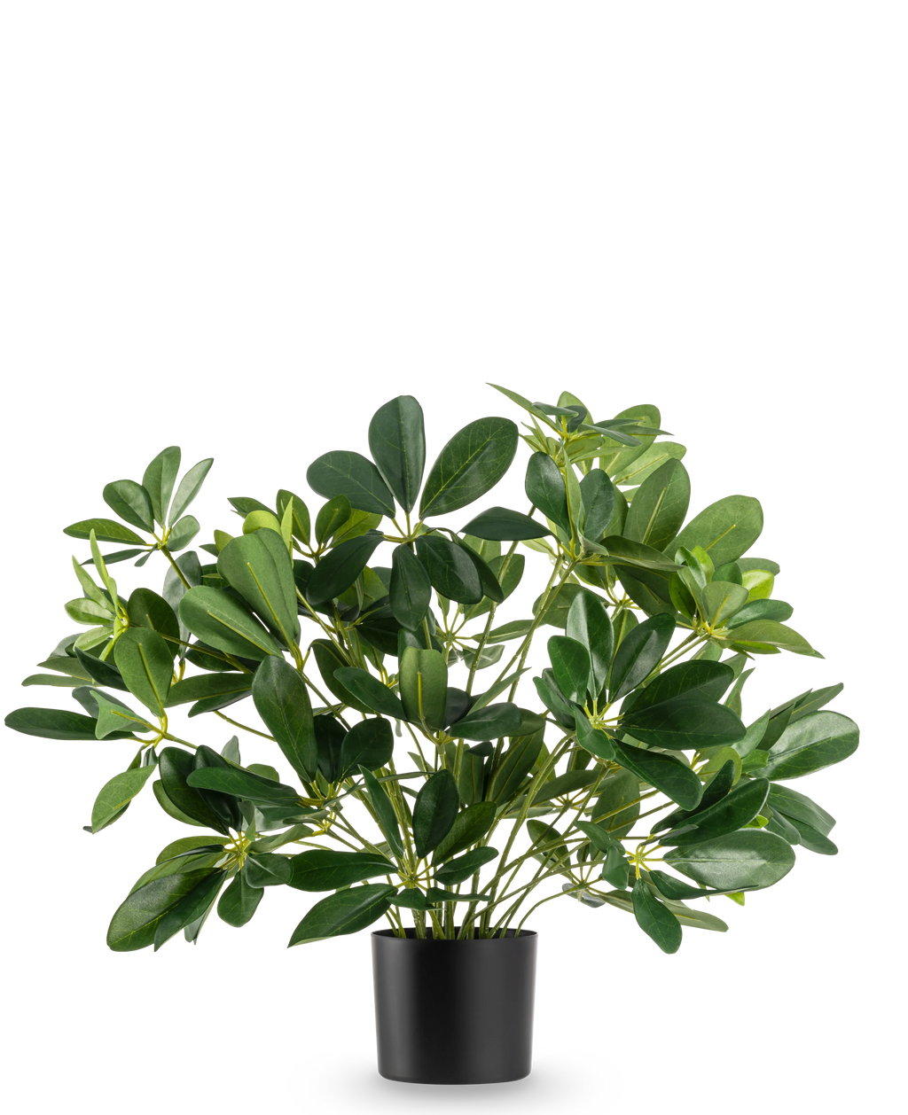 Plante artificielle Schefflera bébé 45 cm
