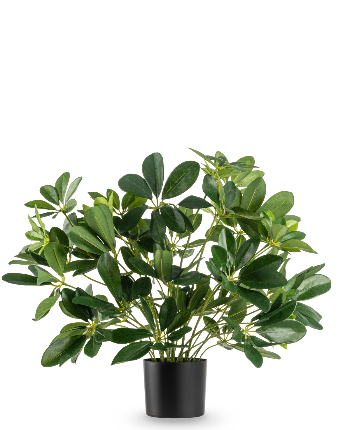 Plante artificielle Schefflera bébé 45 cm
