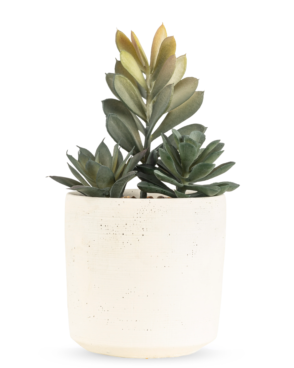 Succulente artificielle 20 cm
