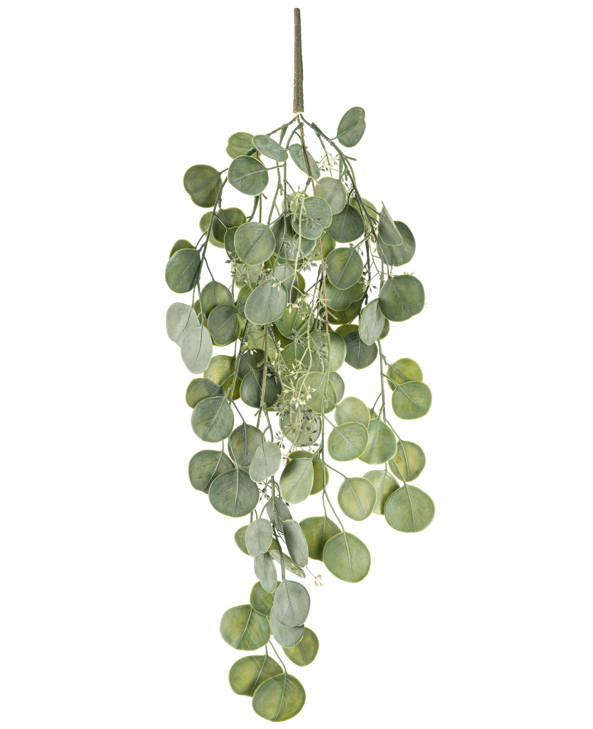 Plante artificielle tombante Eucalyptus 73 cm