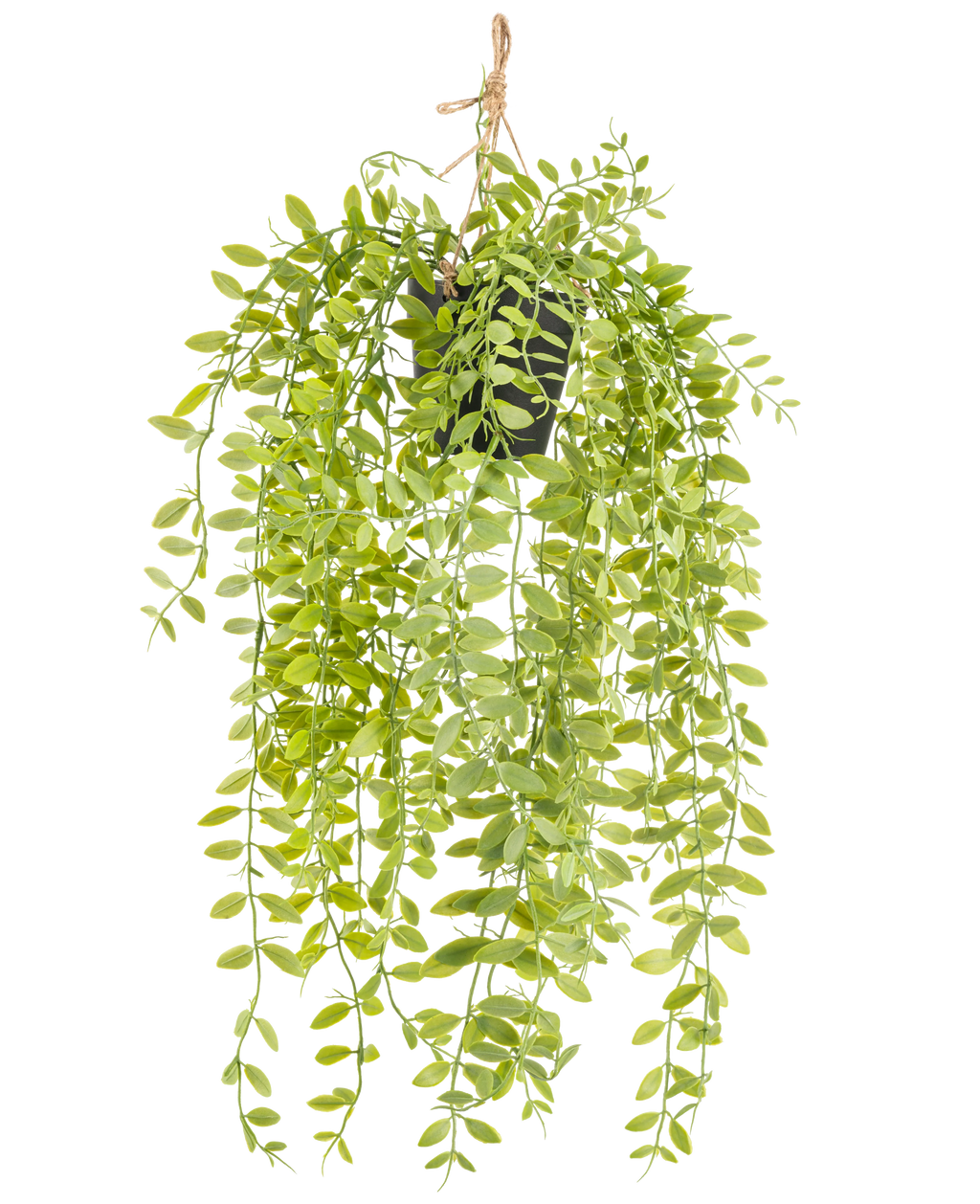 Plante artificielle tombante Pumila dans un pot de 55 cm