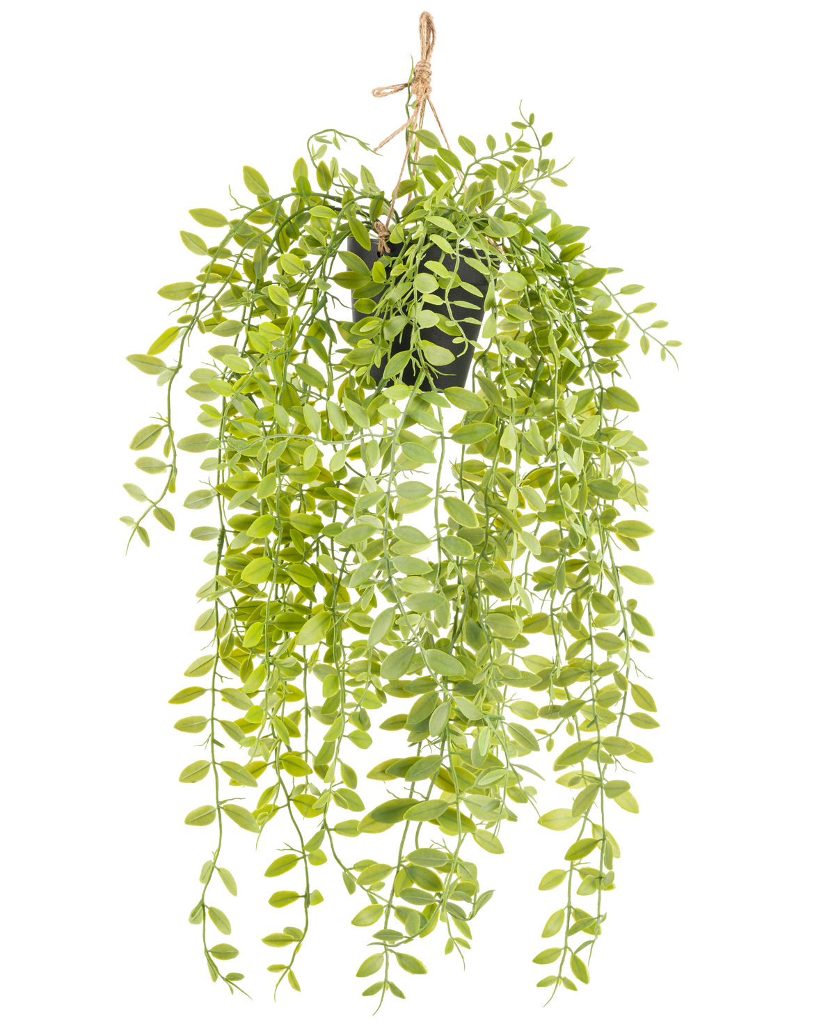Plante artificielle tombante Pumila dans un pot de 55 cm
