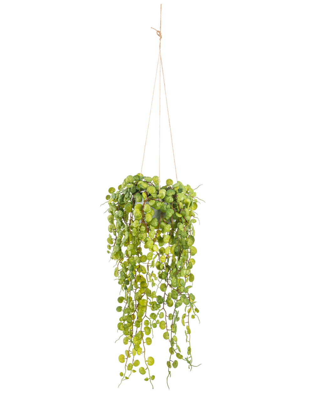 Succulente artificielle tombante en pot 53 cm