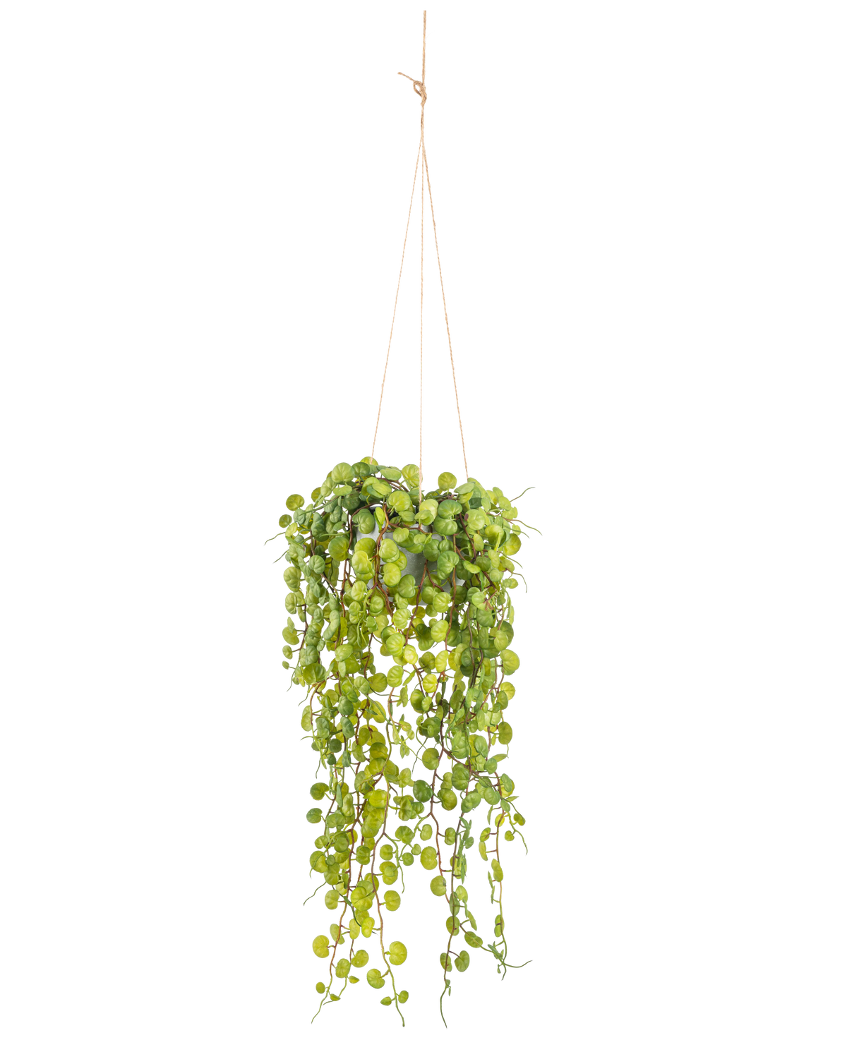 Succulente artificielle tombante en pot 53 cm