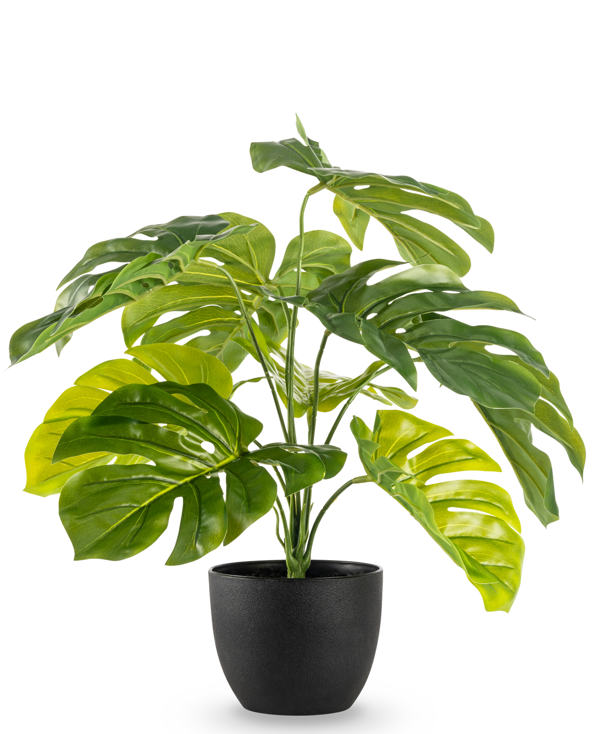 Monstera artificielle 55 cm dans un pot d'ornement noir