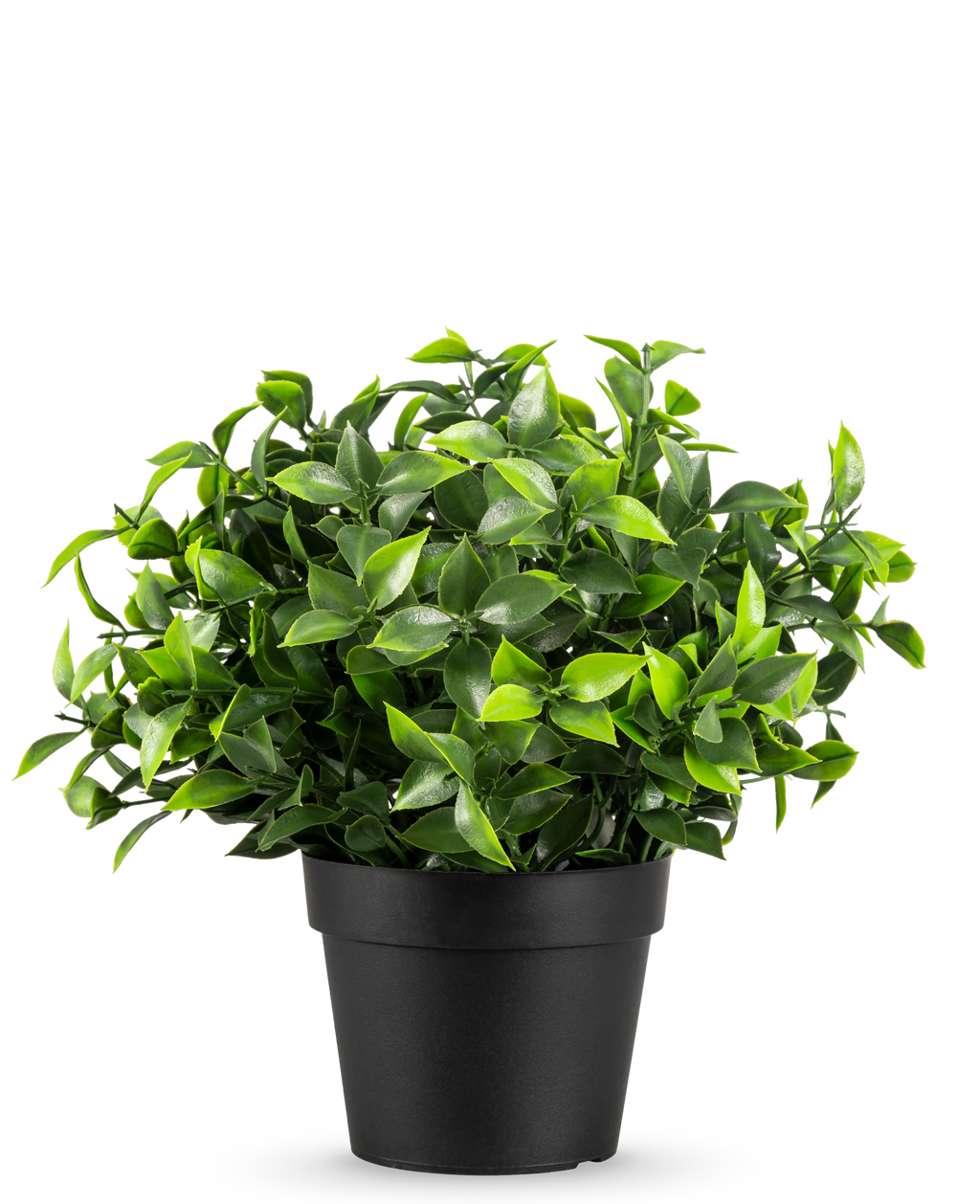 Plante artificielle Photonia dans un pot de 22 cm UV
