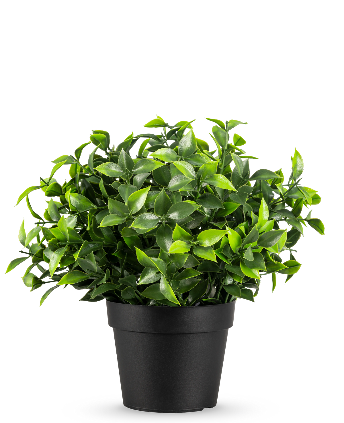 Plante artificielle Photonia dans un pot de 22 cm UV