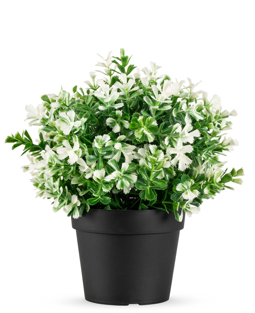 Cyprès artificiel blanc en pot UV 19 cm