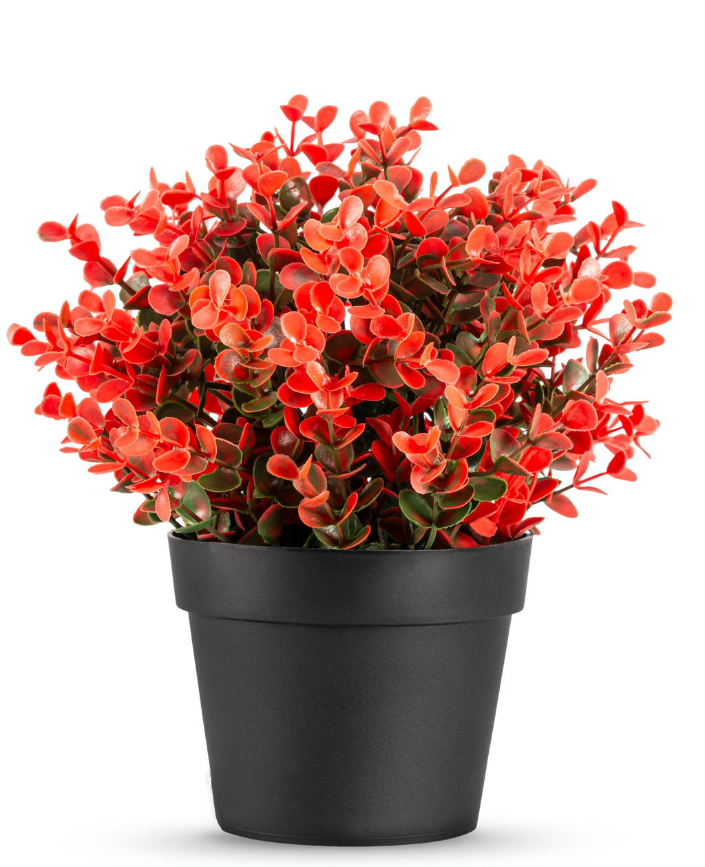 Buxus artificiel rouge en pot UV 19 cm