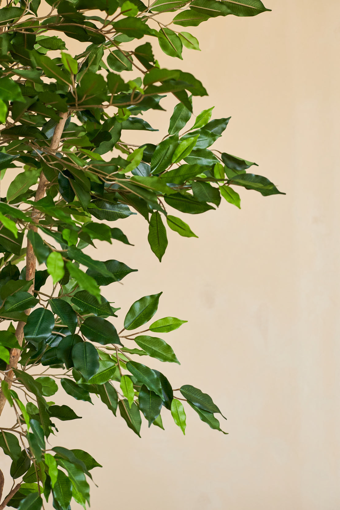 Plante artificielle Ficus Vert 180 cm