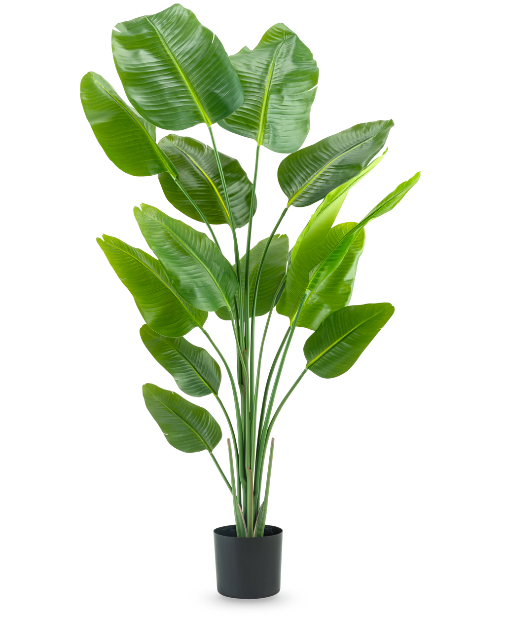 Plante artificielle Strelitzia 180 cm Real Touch