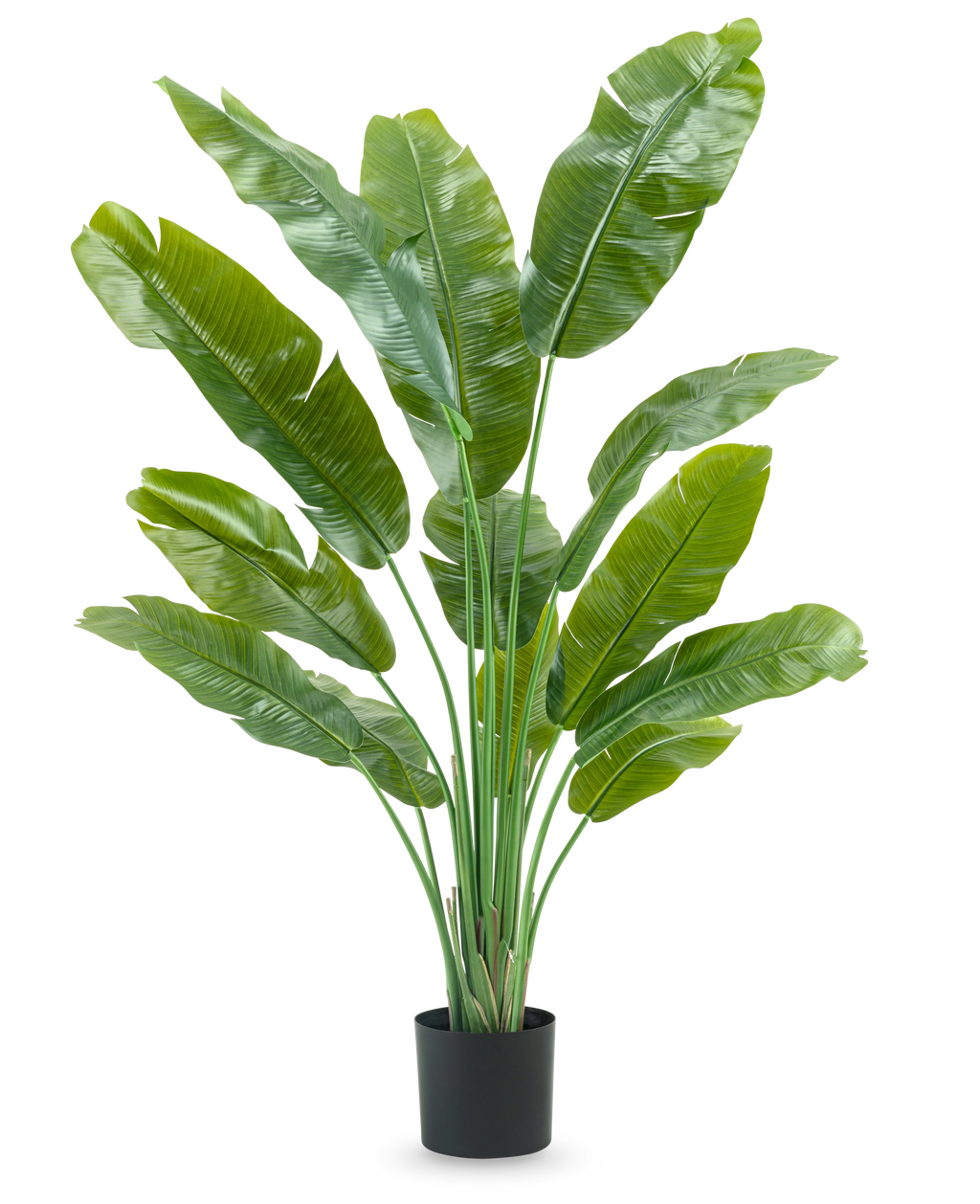 Plante artificielle Strelitzia Nicolai Deluxe 165 cm