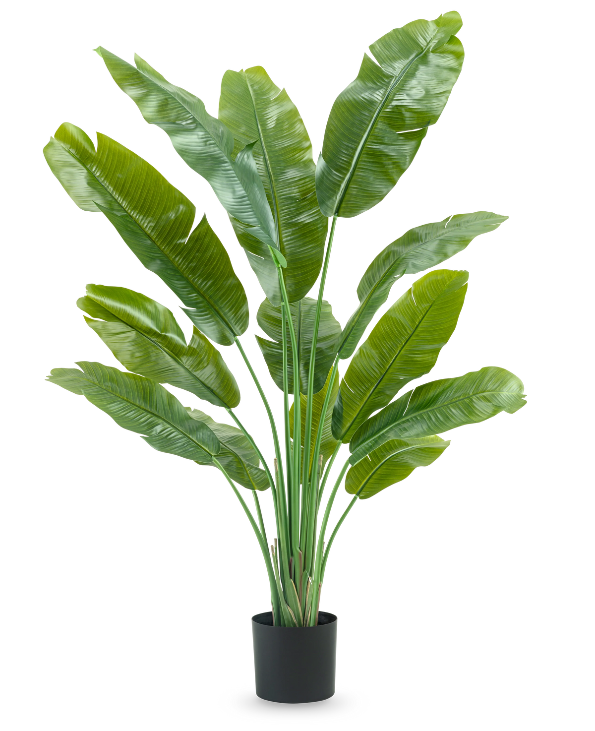 Plante artificielle Strelitzia Nicolai Deluxe 165 cm