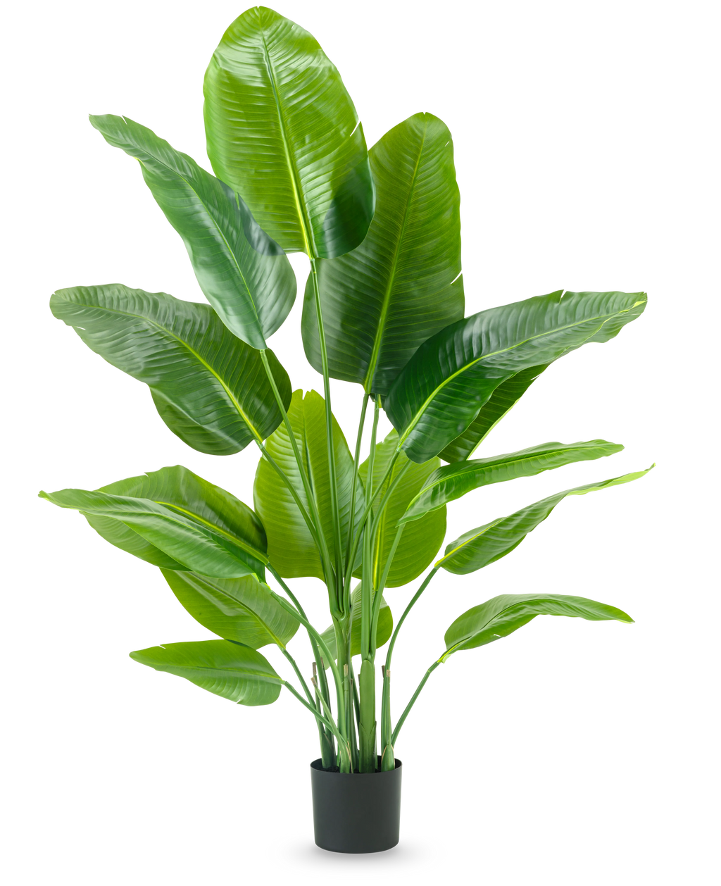 Plante artificielle Strelitzia Real Touch Deluxe 150 cm