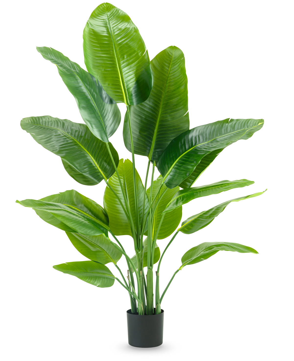 Plante artificielle Strelitzia Real Touch Deluxe 150 cm