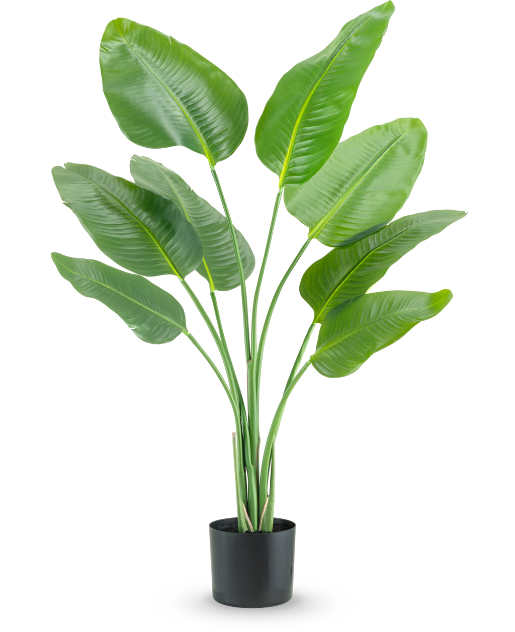 Plante artificielle Strelitzia 120 cm real touch