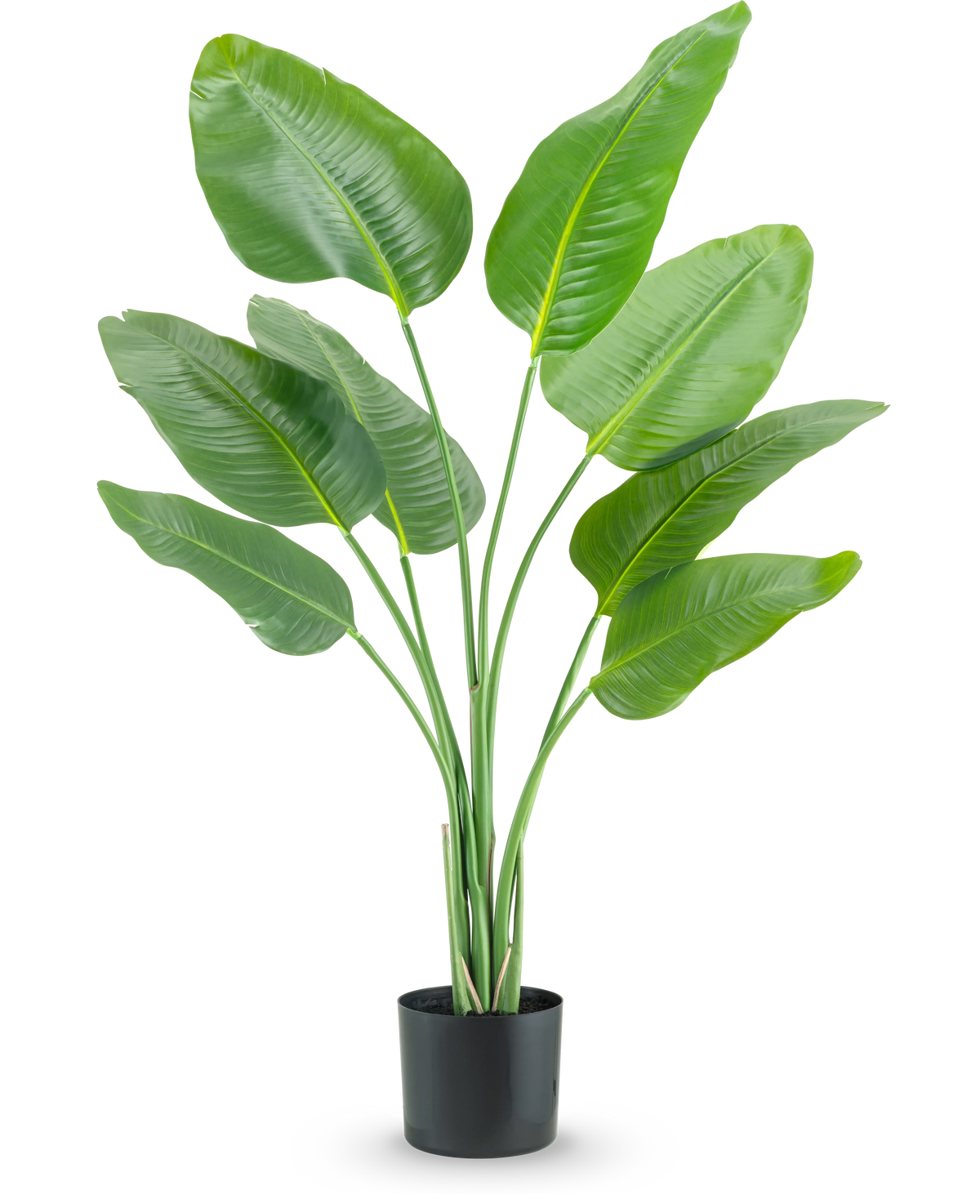 Plante artificielle Strelitzia 120 cm real touch