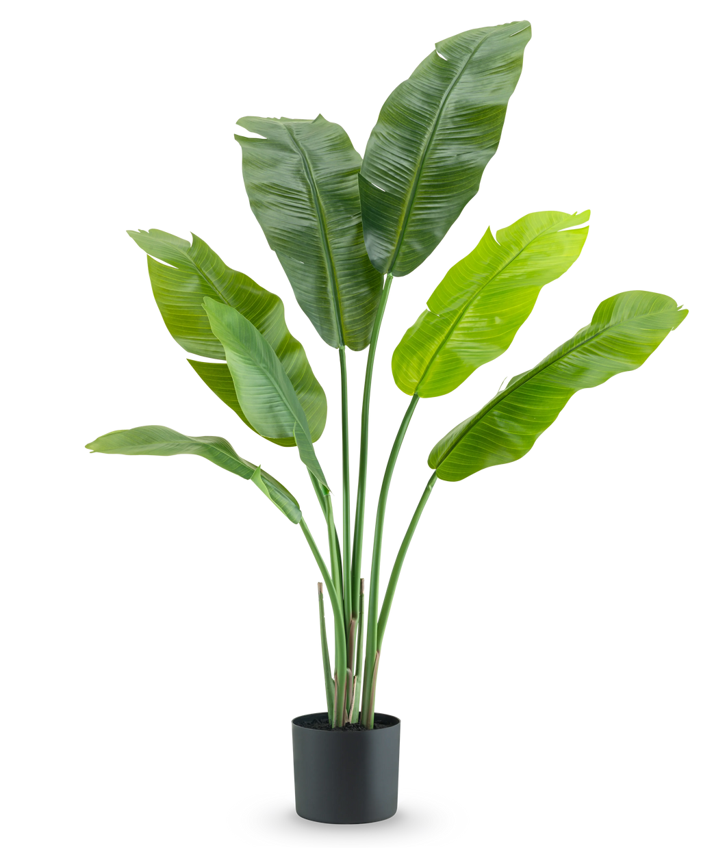 Plante artificielle Strelitzia Nicolai Deluxe 120 cm