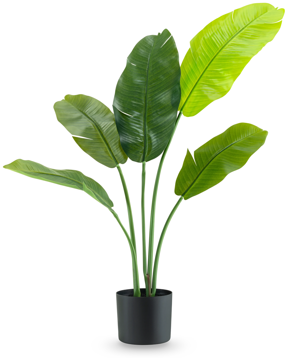 Plante artificielle Strelitzia Nicolai Deluxe 105 cm