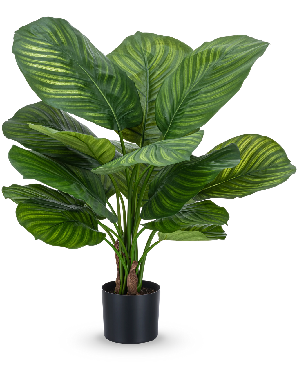 Plante artificielle Calathea Fasciata 53 cm en pot