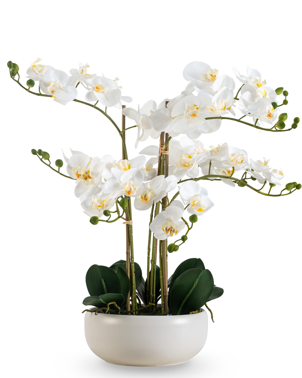Orchidée artificielle Real Touch 50 cm blanc en pot blanc