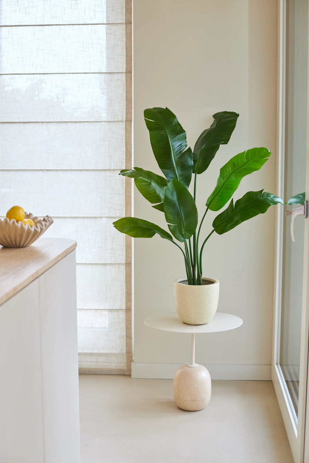 Plante artificielle Strelitzia Nicolai Deluxe 120 cm