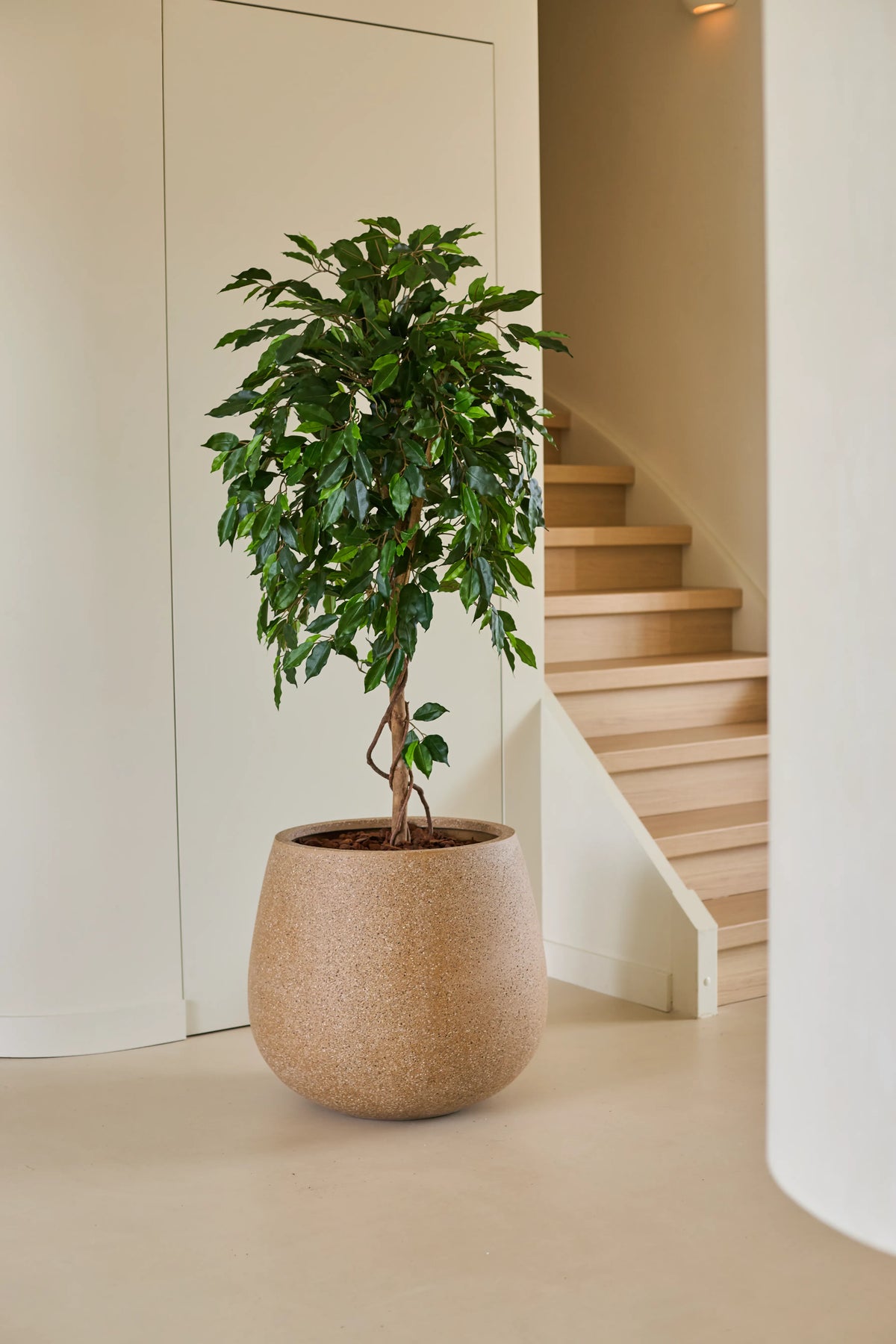 Plante artificielle Ficus Vert 150 cm