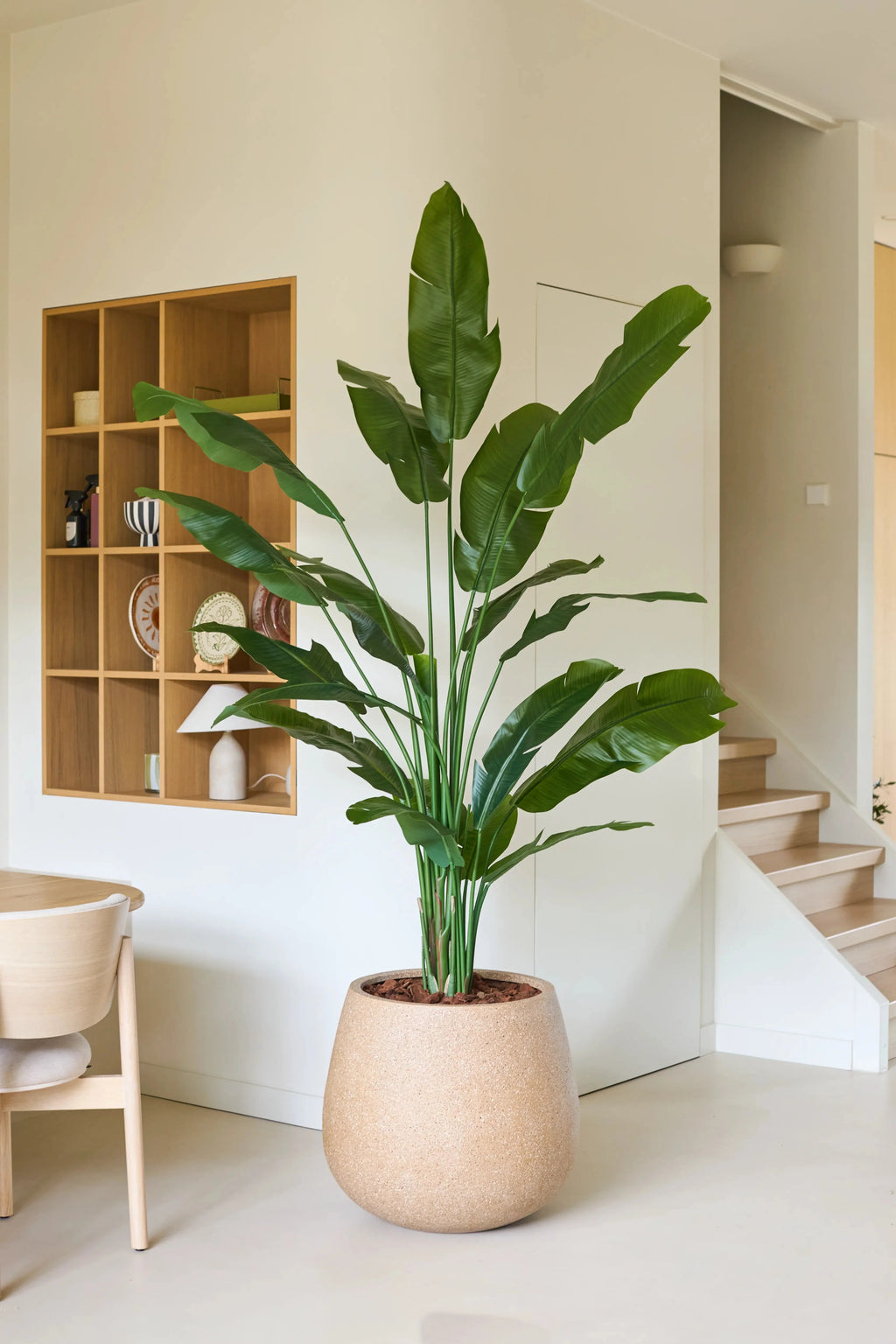 Plante artificielle Strelitzia Nicolai Deluxe 215 cm