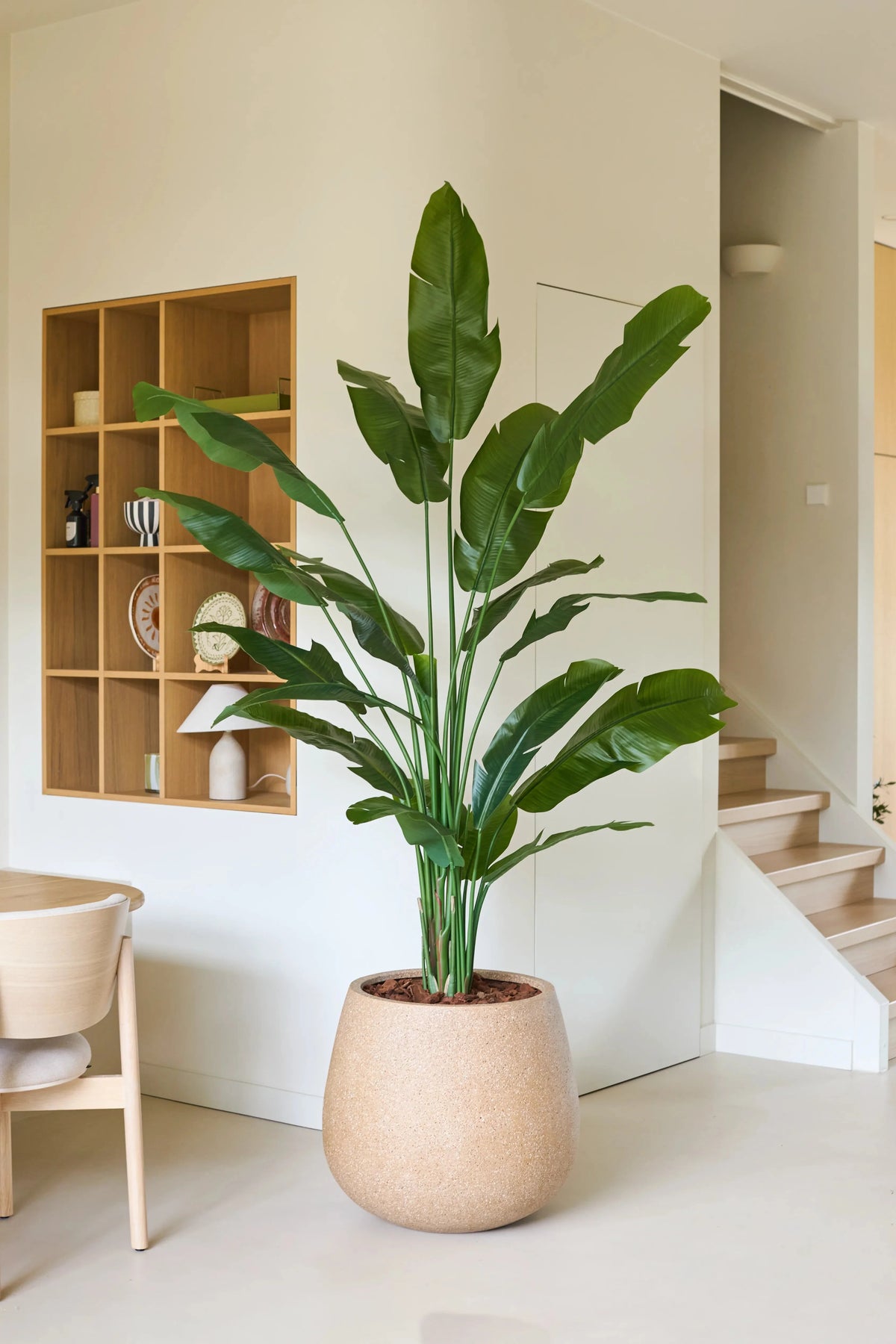 Plante artificielle Strelitzia Nicolai Deluxe 215 cm