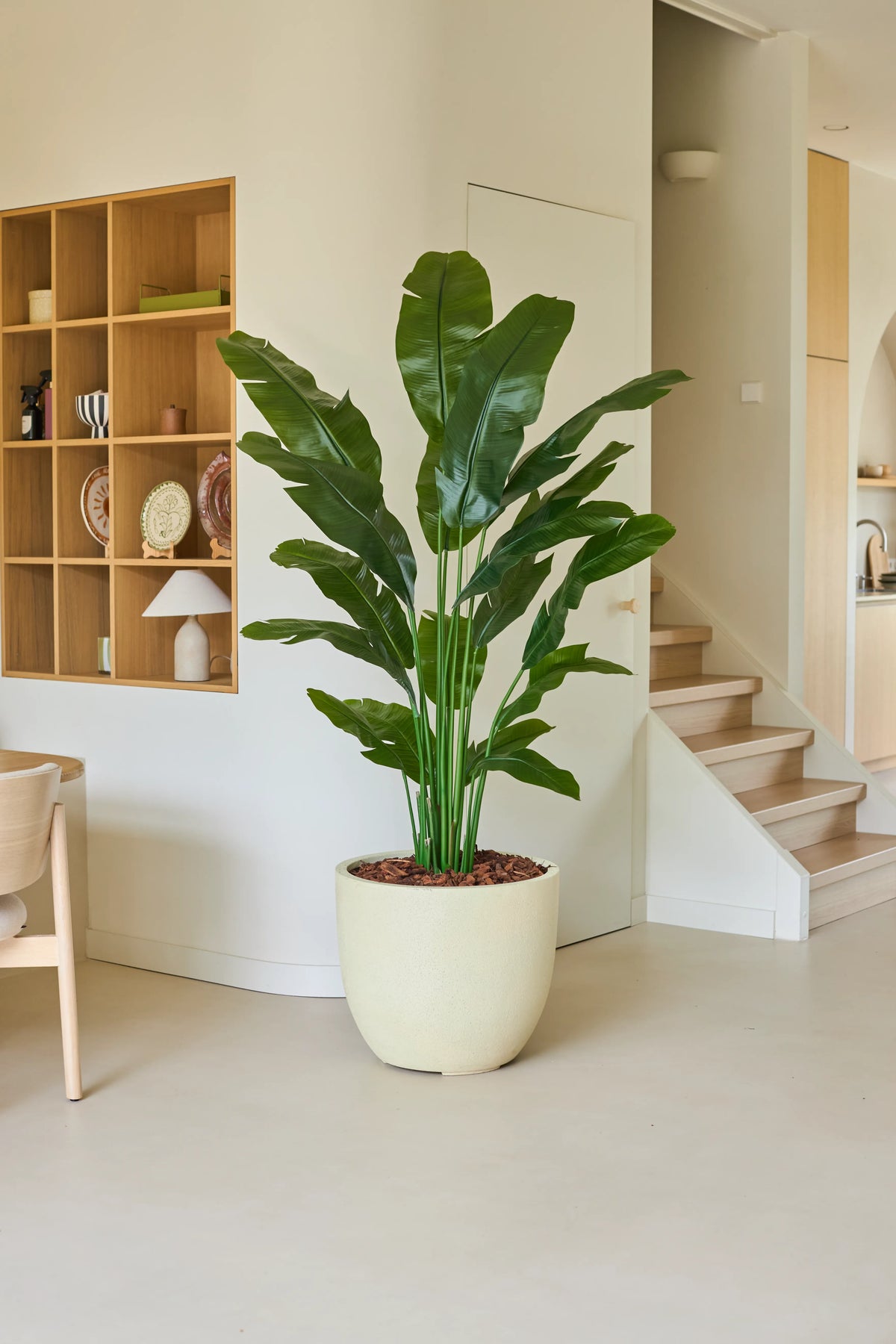 Plante artificielle Strelitzia Nicolai Deluxe 195 cm