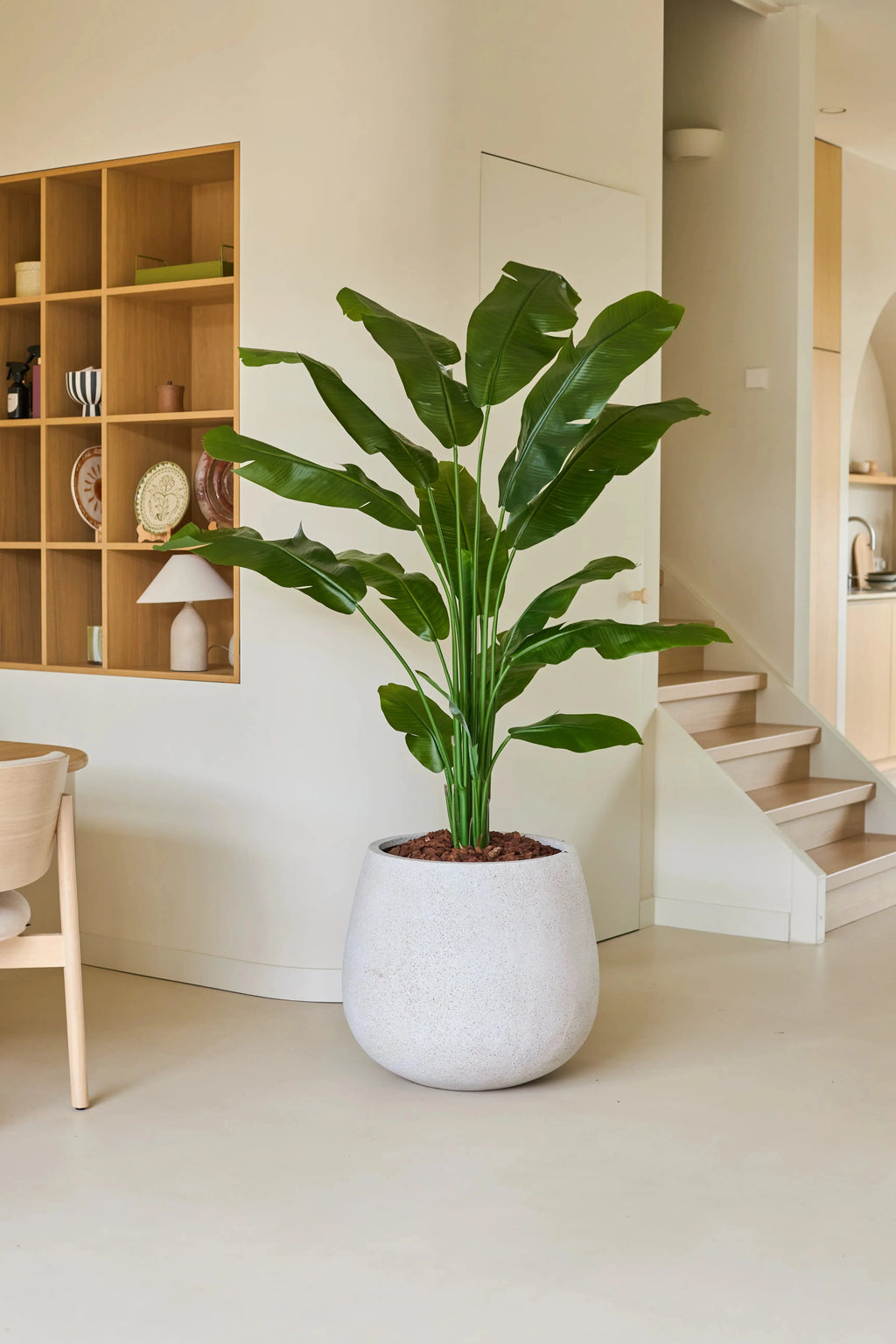 Plante artificielle Strelitzia Nicolai Deluxe 185 cm