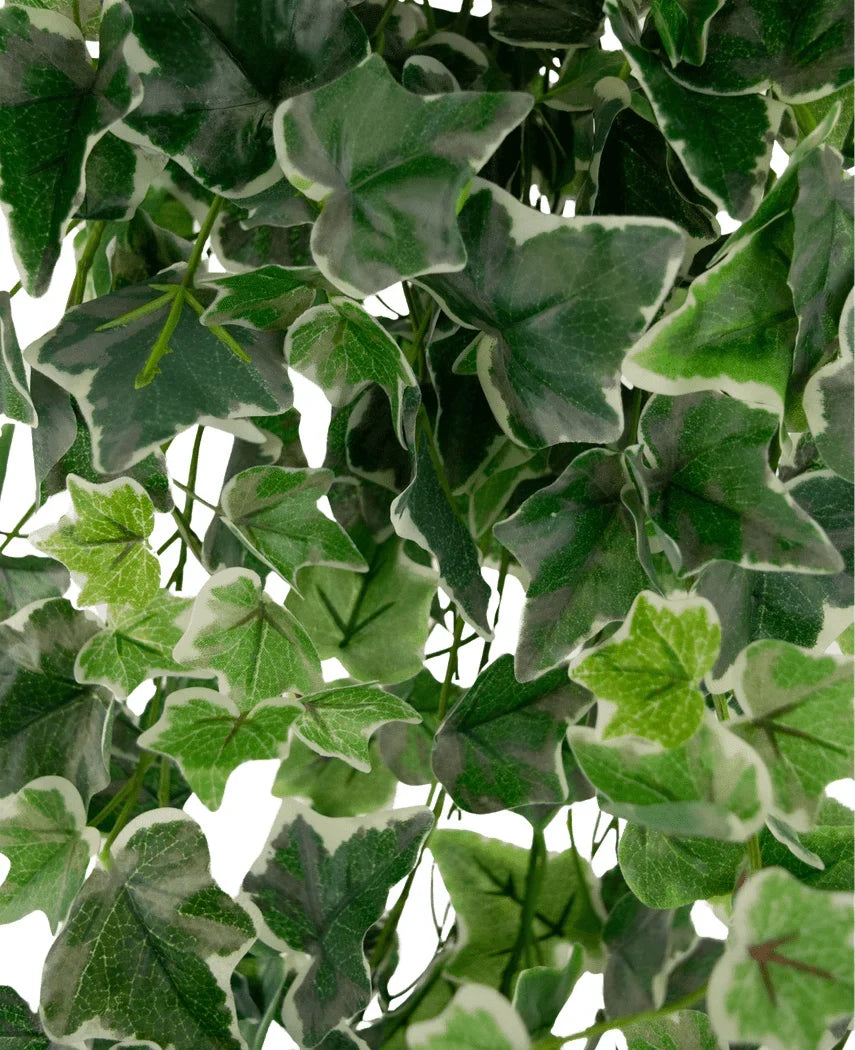 Lierre artificiel 70 cm vert/blanc