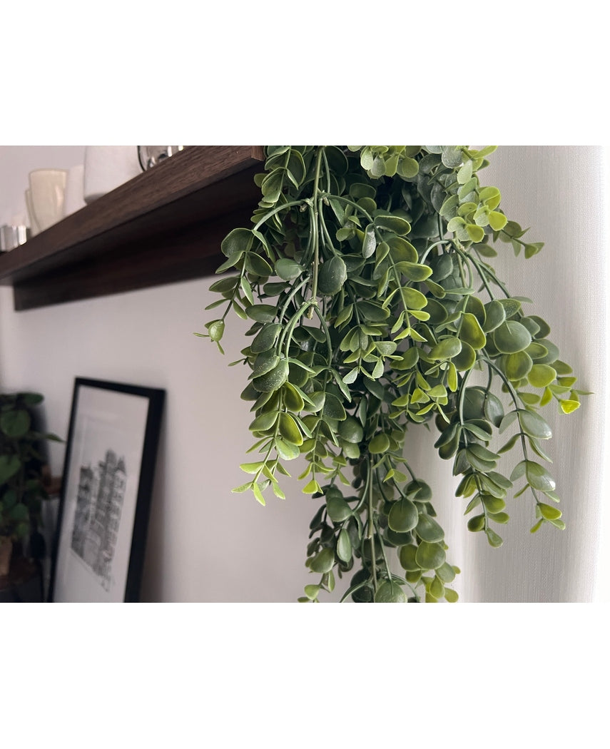 Plante artificielle tombante Pancake 61 cm