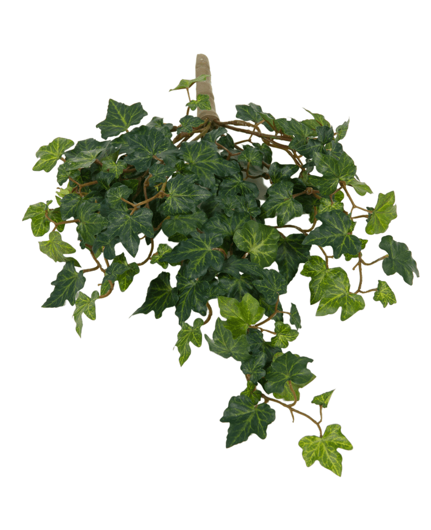 Lierre artificiel Deluxe Vert 40 cm