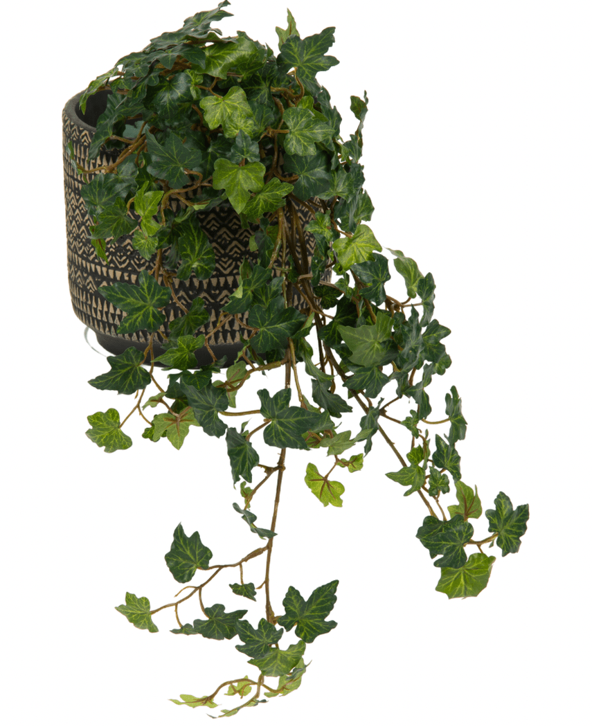 Lierre artificiel Deluxe Vert 60 cm