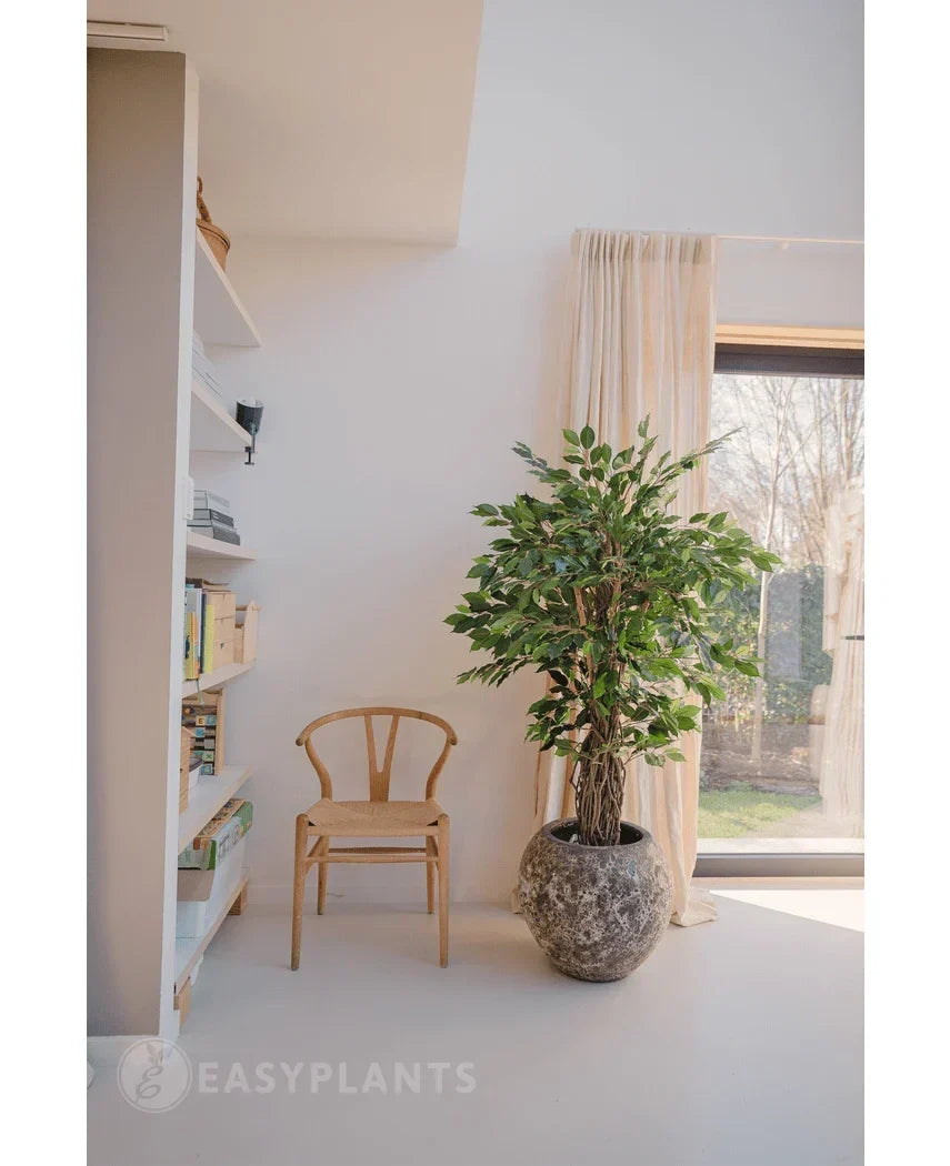 Plante artificielle Ficus Tropical Liana 150 cm
