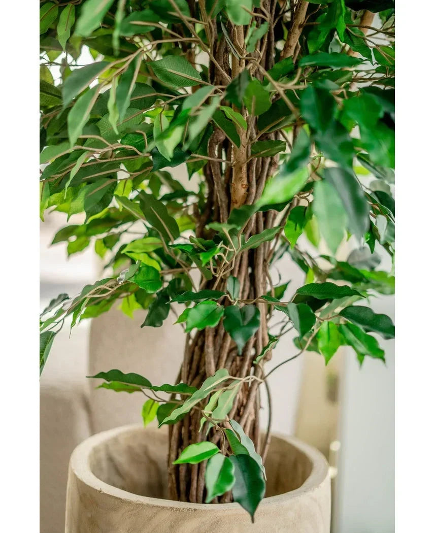 Plante artificielle Ficus Tropical Liana 150 cm